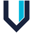 Valurion Logo